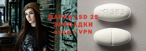 ГАЛЛЮЦИНОГЕННЫЕ ГРИБЫ Аркадак