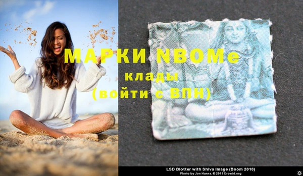 ГАЛЛЮЦИНОГЕННЫЕ ГРИБЫ Аркадак