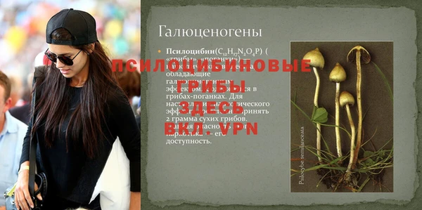 соль курить ск Арсеньев