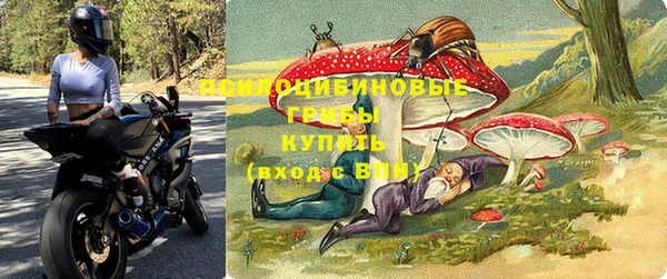 шишки Армянск