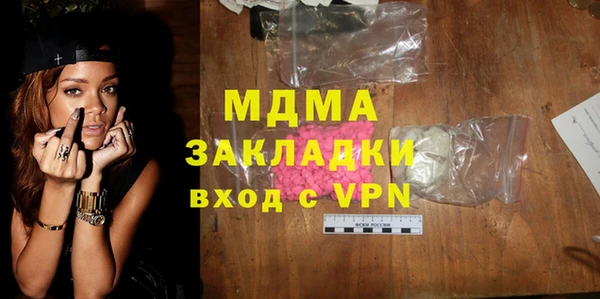 шишки Няндома