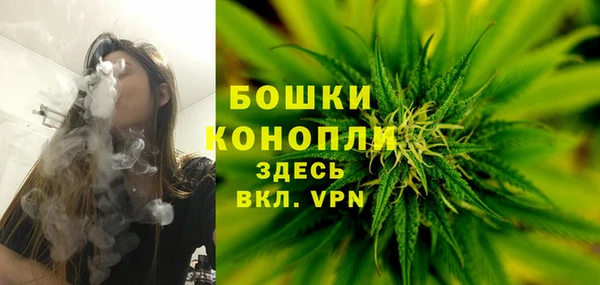 ГАЛЛЮЦИНОГЕННЫЕ ГРИБЫ Аркадак