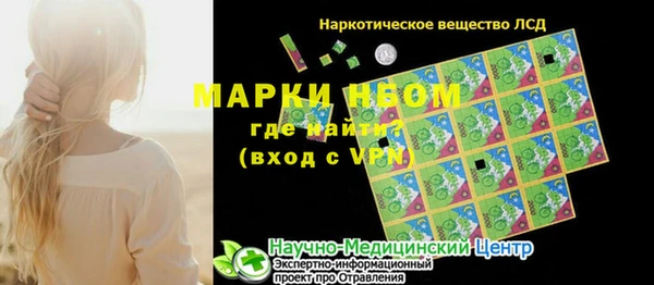 ГАЛЛЮЦИНОГЕННЫЕ ГРИБЫ Аркадак