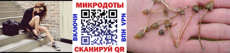 Галлюциногенные грибы Magic Shrooms  Сортавала 
